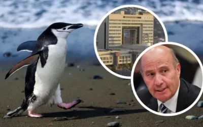Columna de Carlos Correa: Proyecto de Reconstrucción: la batalla de los pingüinos